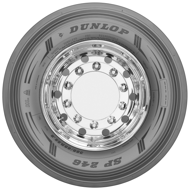 Всесезонные шины Dunlop SP246